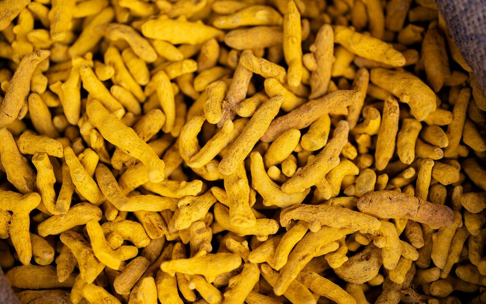 Turmeric Root