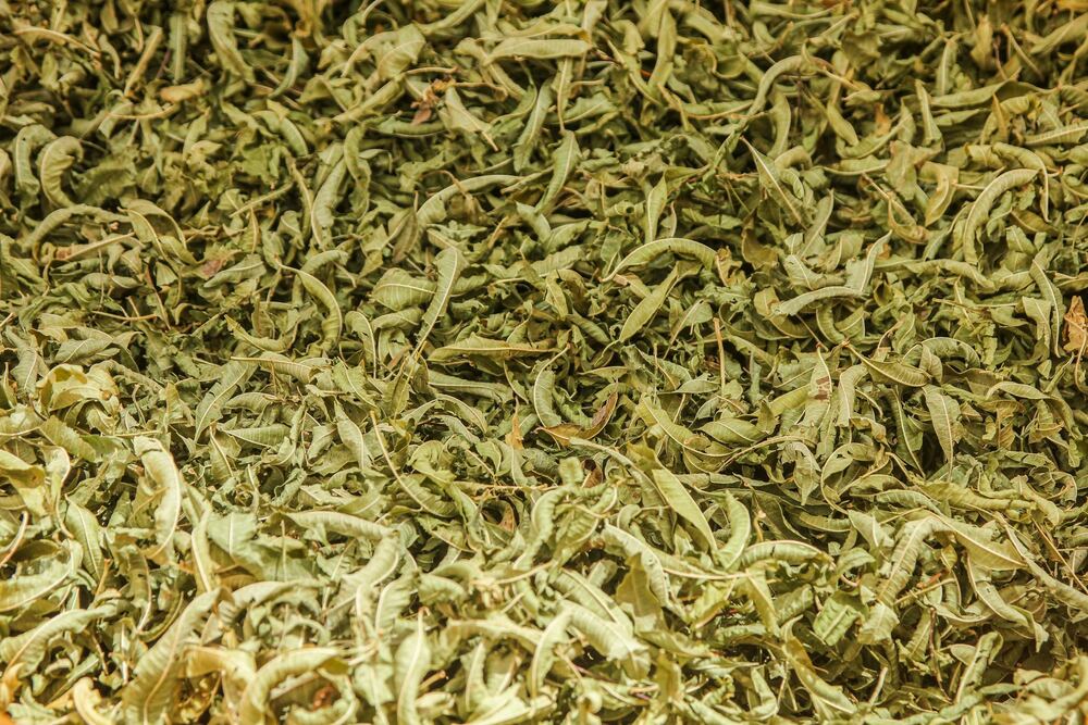 Green Tea Leaf