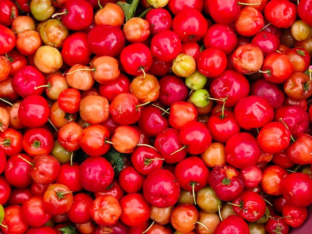 Acerola Cherry