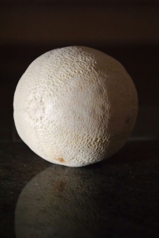 French Melon