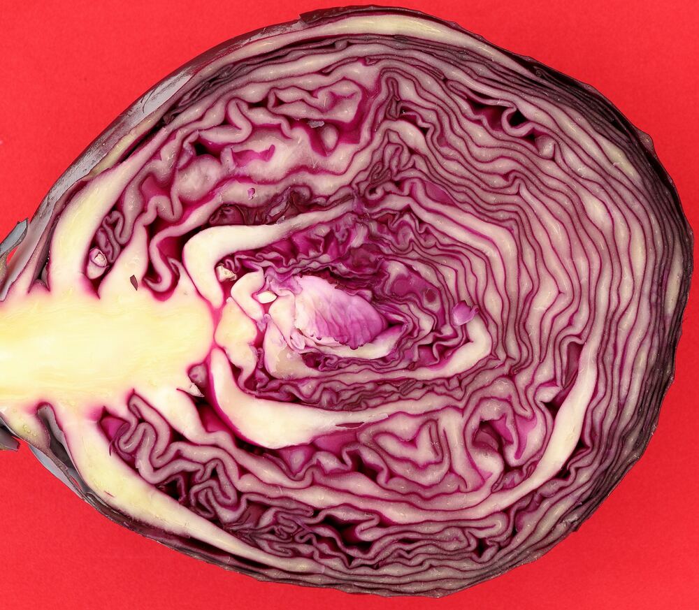 Red Cabbage