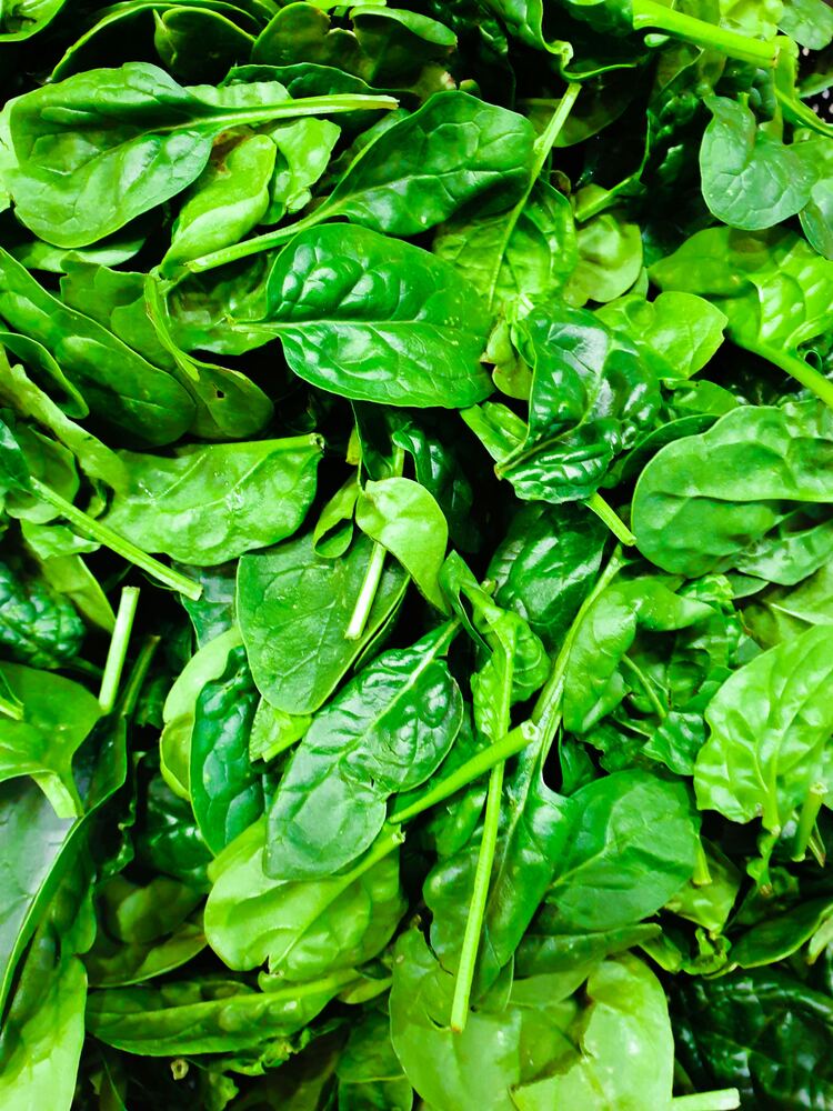 Spinach Leaf