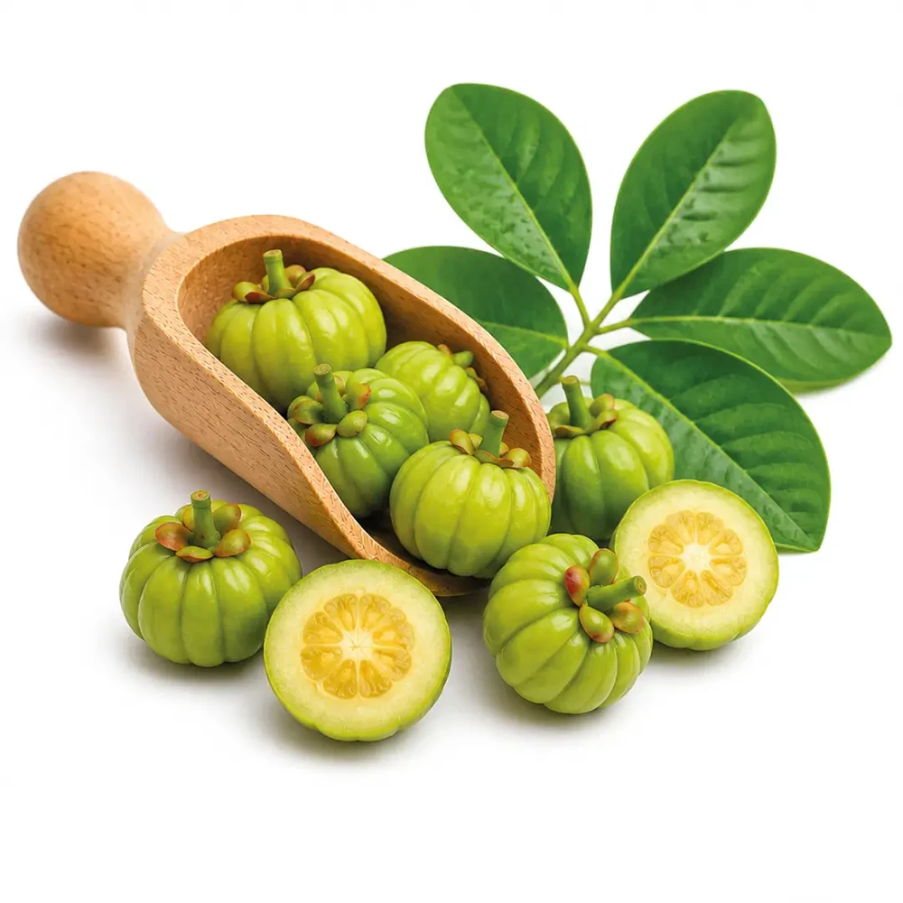 Garcinia Cambogia
