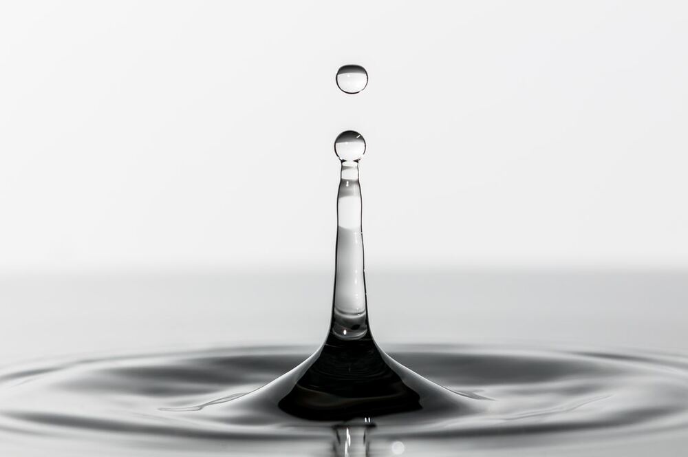 Ionic Trace Minerals