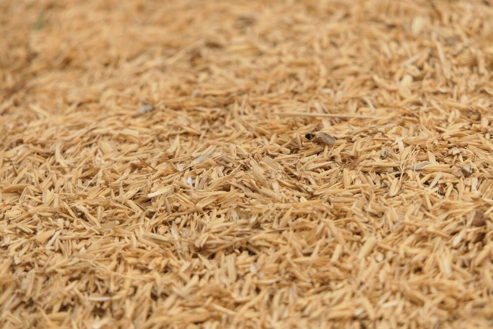 Stabilized Rice Bran
